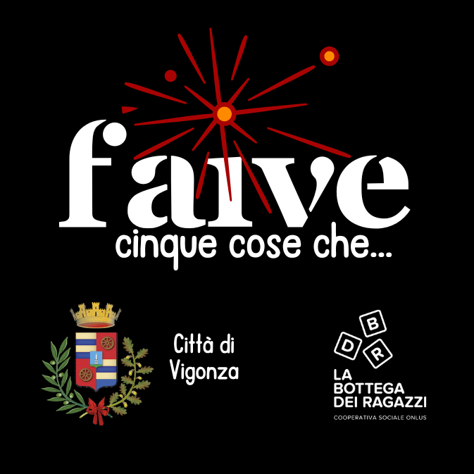 FAIVE... 5 cose che | Progetto di costruzione di politiche giovanili per dar voce ai giovani del territorio 